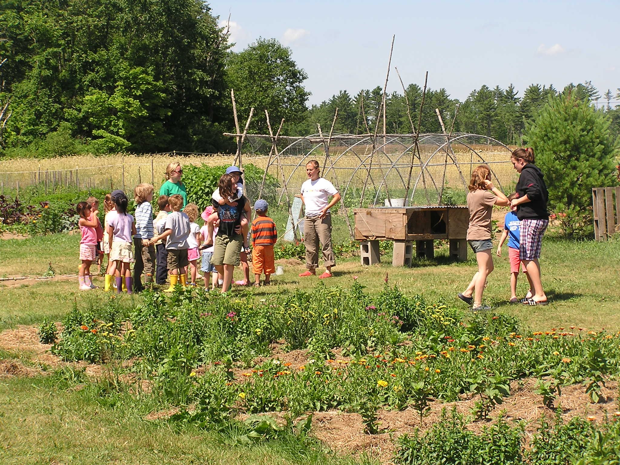 Farm Camp at Broadturn Farm - Scarborough Land Trust