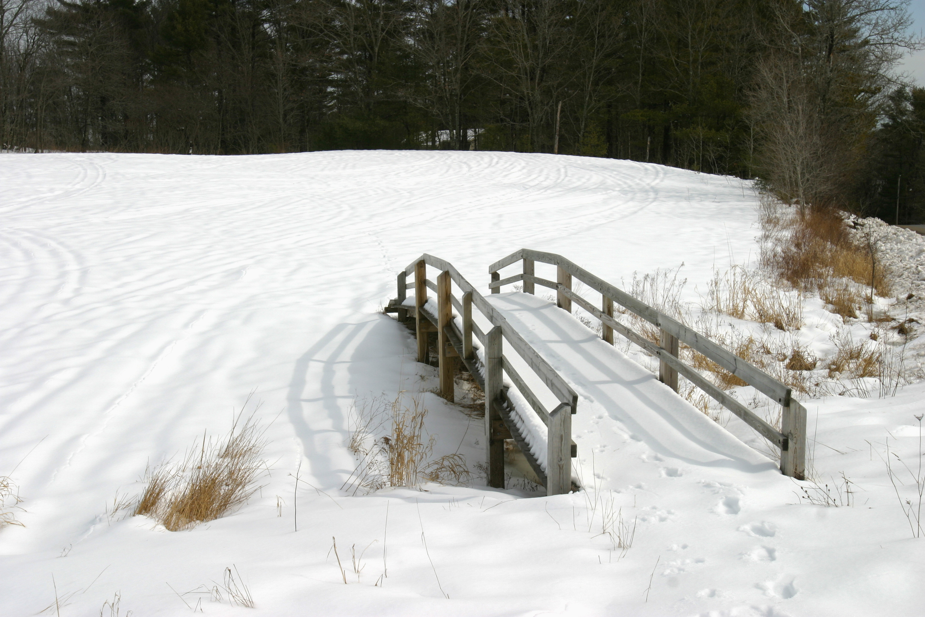 Field bridge in winter - Scarborough Land Trust