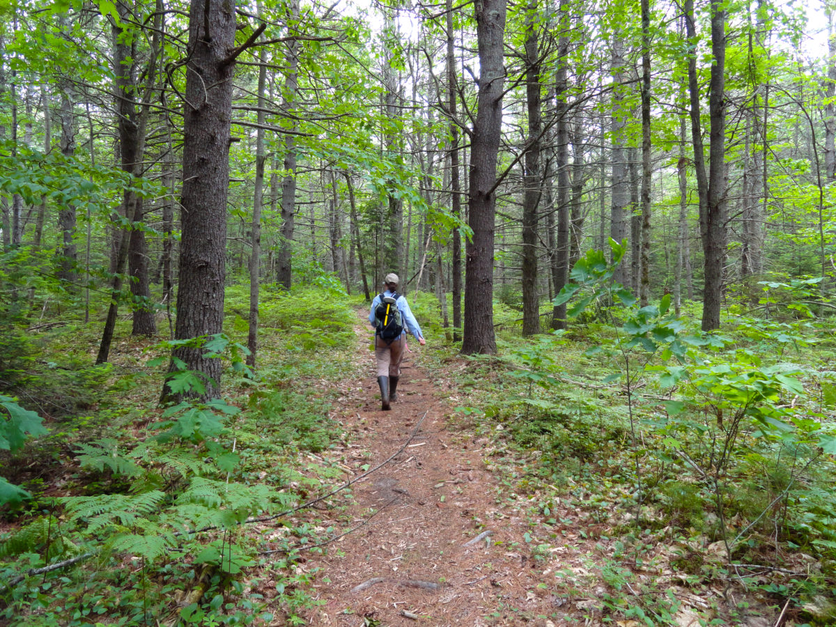 Warren - trail + hiker. JW - Scarborough Land Trust