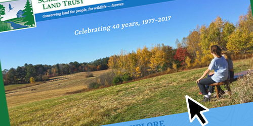 new-website6