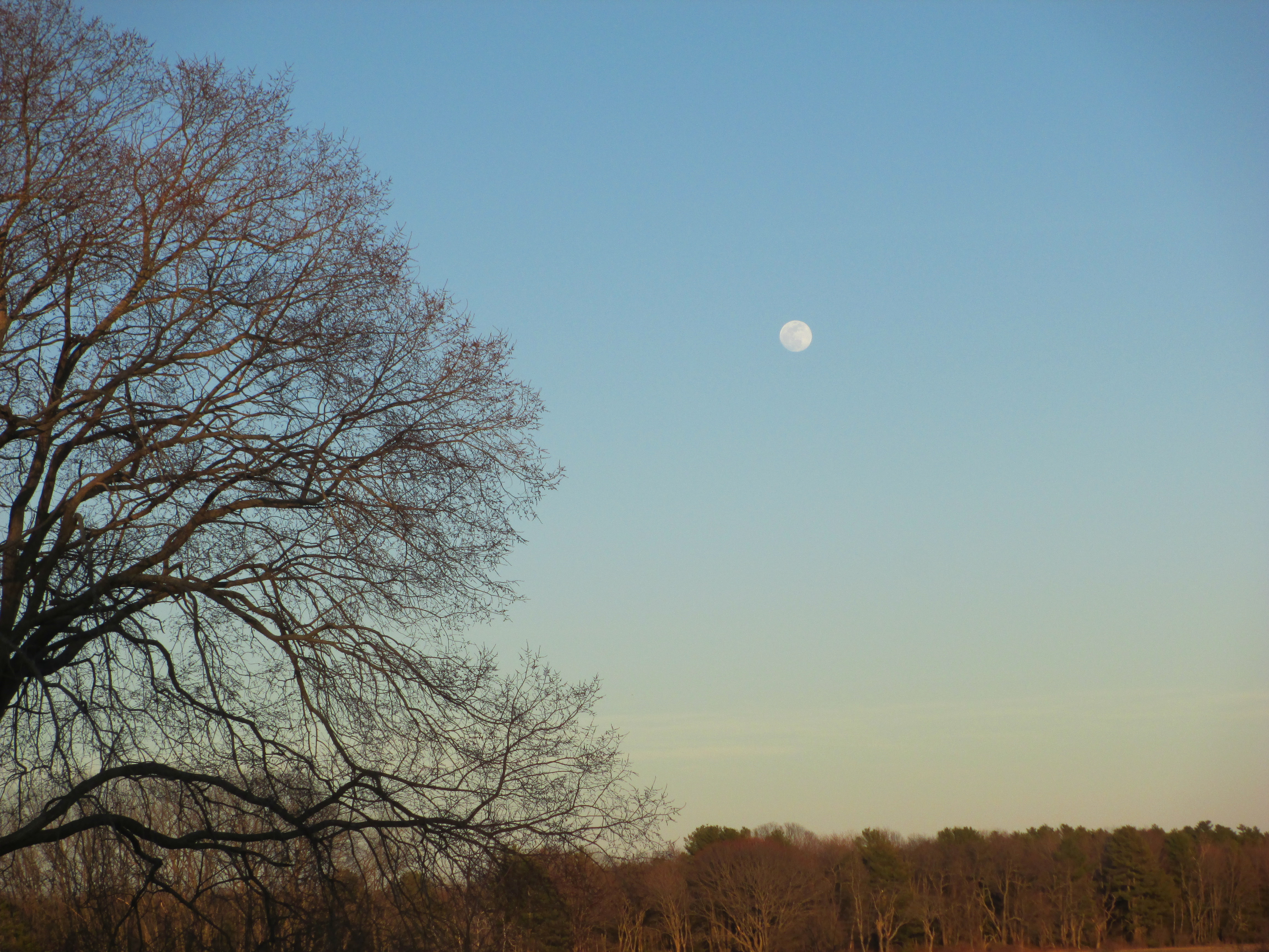Moon.Spring 16 - Scarborough Land Trust