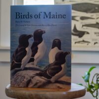 Birds of Maine - Image 2