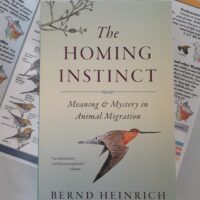 The Homing Instinct