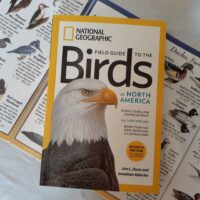 Field Guide to the Birds of North America - Image 2