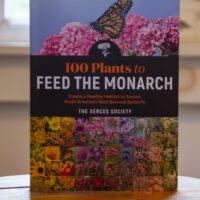 100 Plants to Feed the Monarch - Image 2