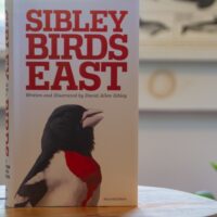 The Sibley Field Guide to Birds of Eastern North America - Image 2