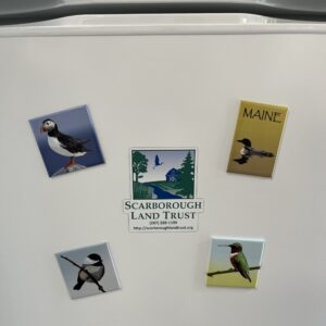 Puffin Magnet - Image 2