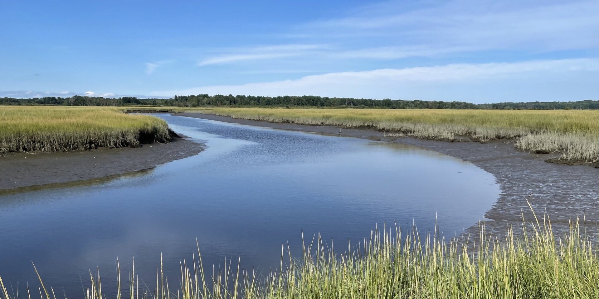 SLT Awarded $1.4 Million Grant from NOAA for Scarborough Marsh ...