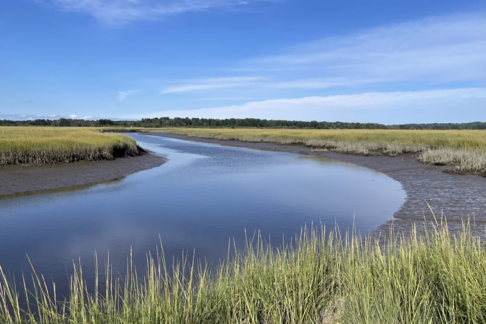Scarborough Marsh