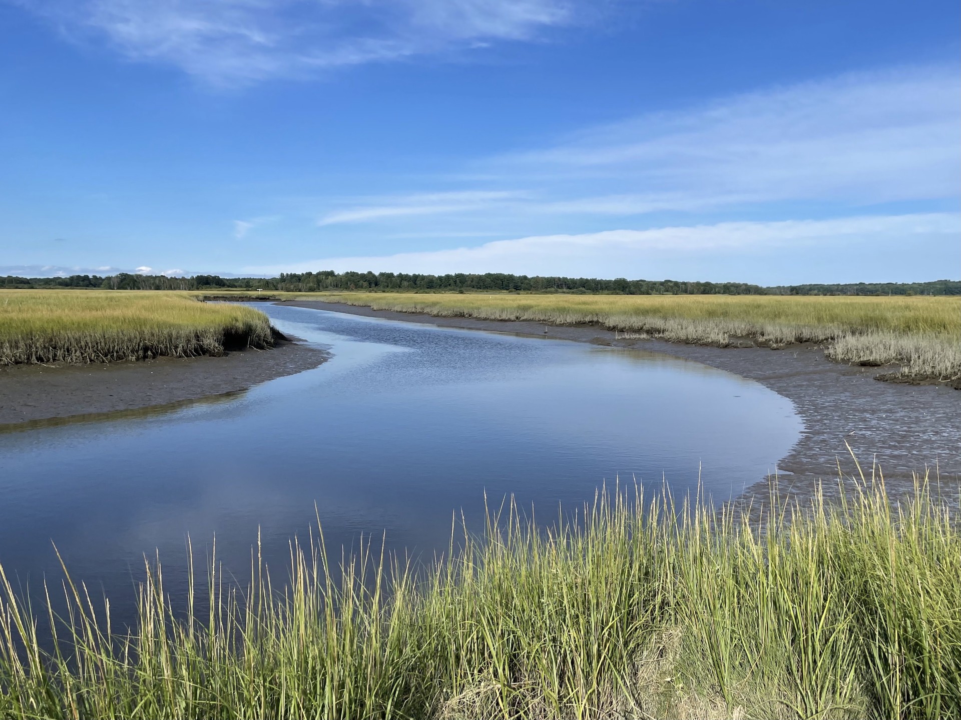 Scarborough Marsh