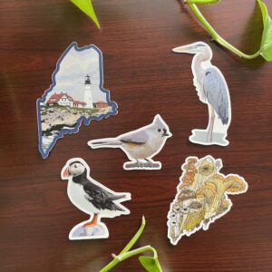 Tufted Titmouse Sticker - Image 2