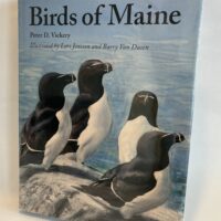 Birds of Maine