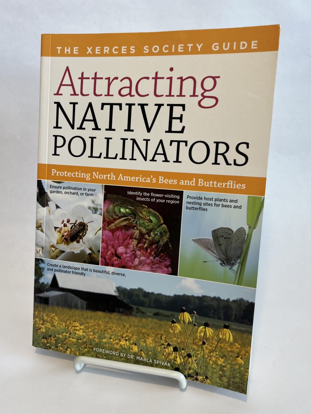 Attracting Native Pollinators