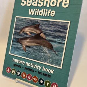 Seashore Wildlife Nature Activity Book