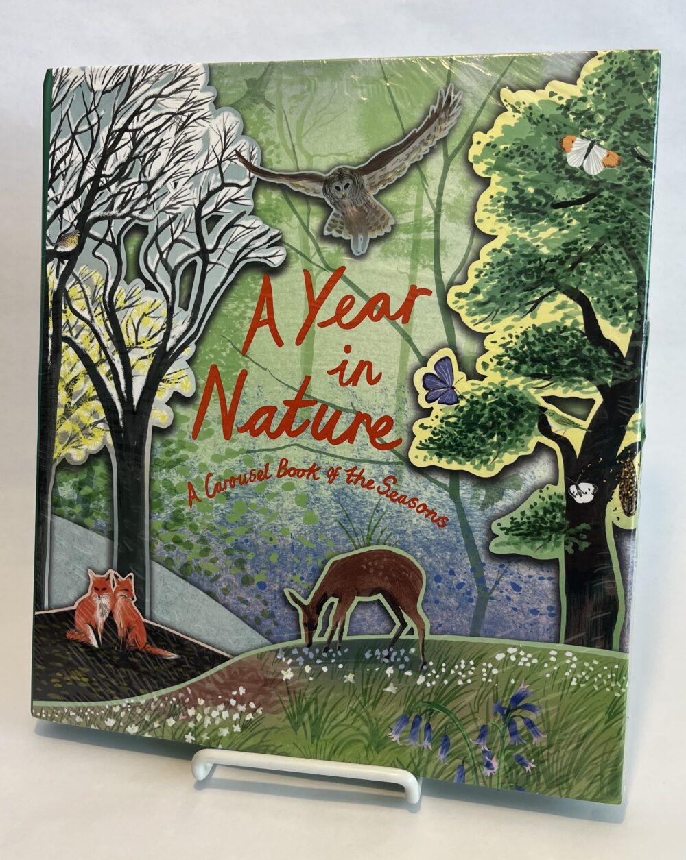 A Year In Nature: A Carousel Book of the Seasons