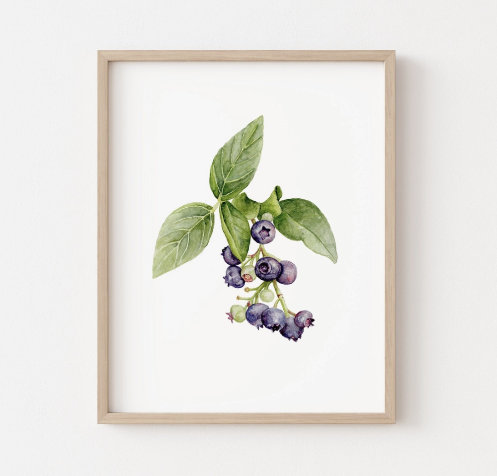 Wild Blueberry Watercolor Print