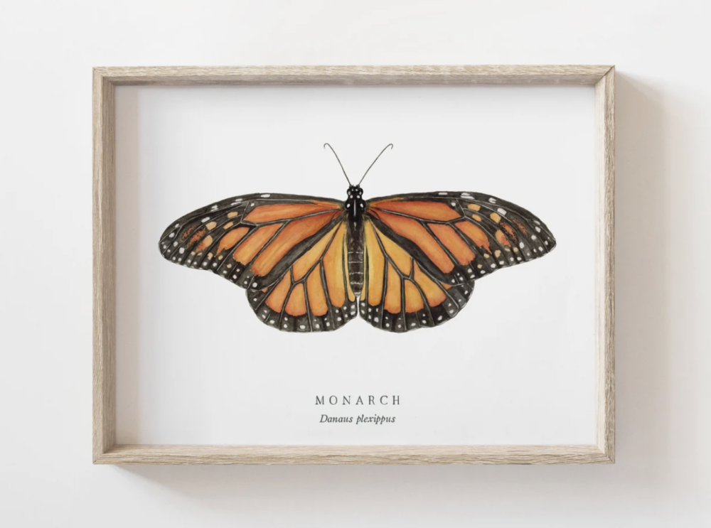 Monarch Watercolor Print