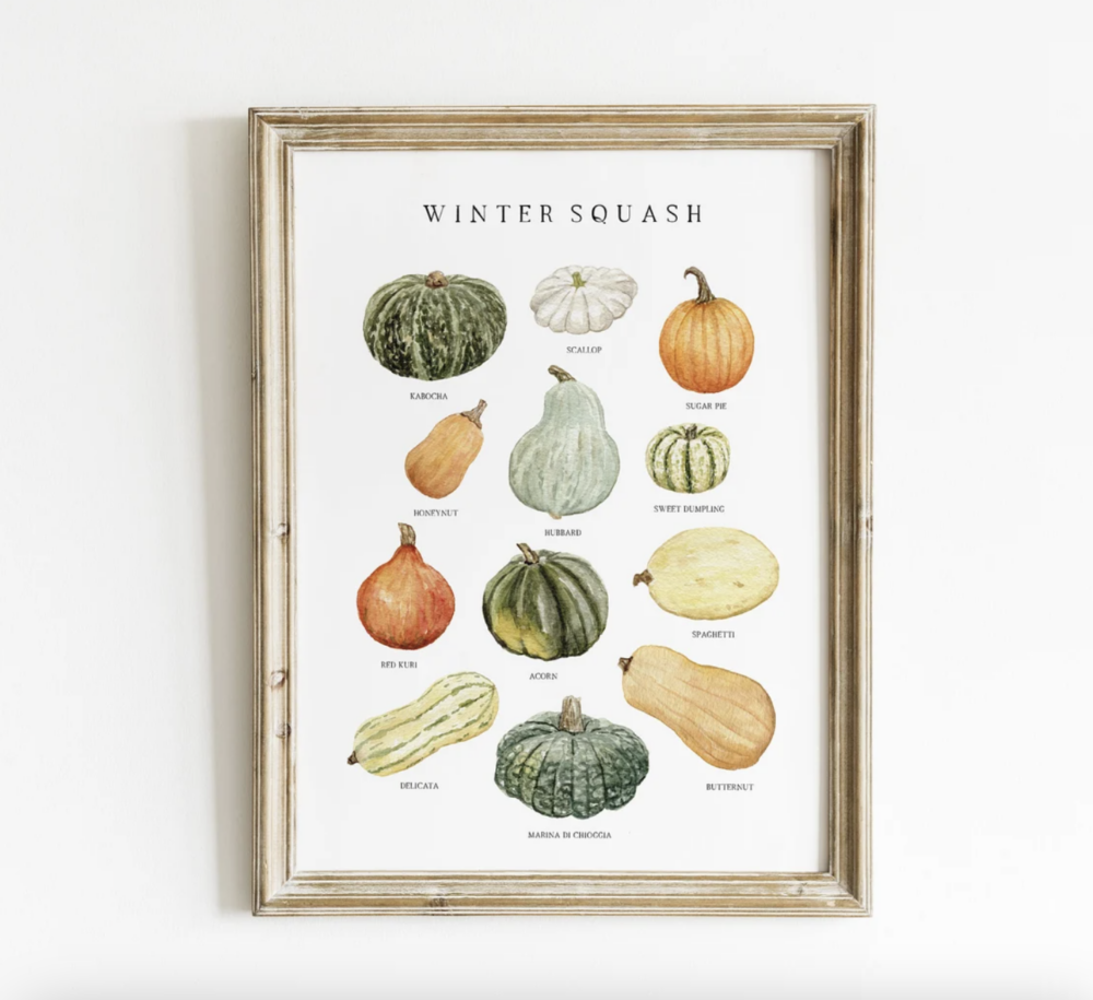 Winter Squash Watercolor Print