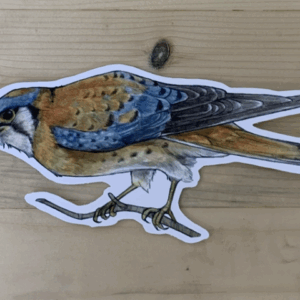 Falcon Sticker