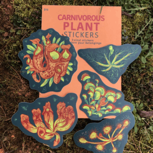 Pack of Carnivorous Plant Stickers