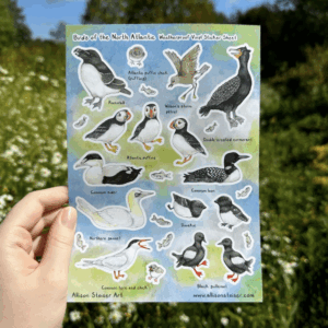 Birds of the North Atlantic Stcker Sheet
