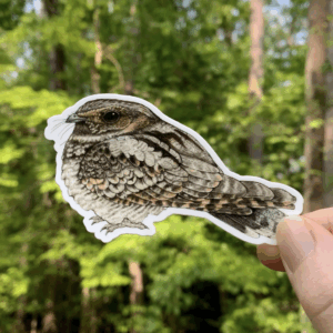 Eastern Whip-poor-will Sticker