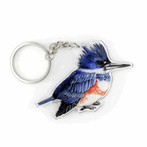 Female Belted Kingfisher Acrylic Keychain