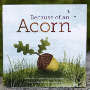 Because of an Acorn