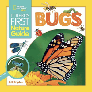 Little Kids First Nature Guide: Bugs