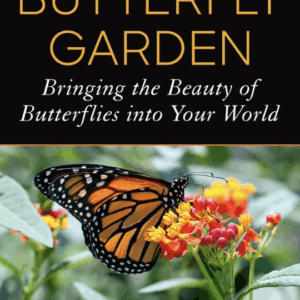 How to Create a Butterfly Garden