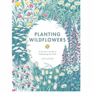 Planting Wildflowers