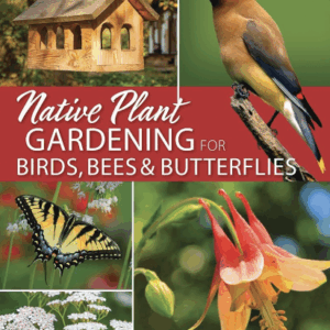 Native Plant Gardening for Birds, Bees, and Butterflies