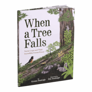 When a Tree Falls: Nurse Logs and Their Incredible Forest Power