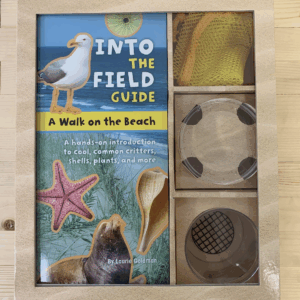 Into the Field Guide: A Walk on the Beach