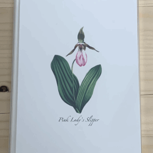 Pink Lady's Slipper Cards