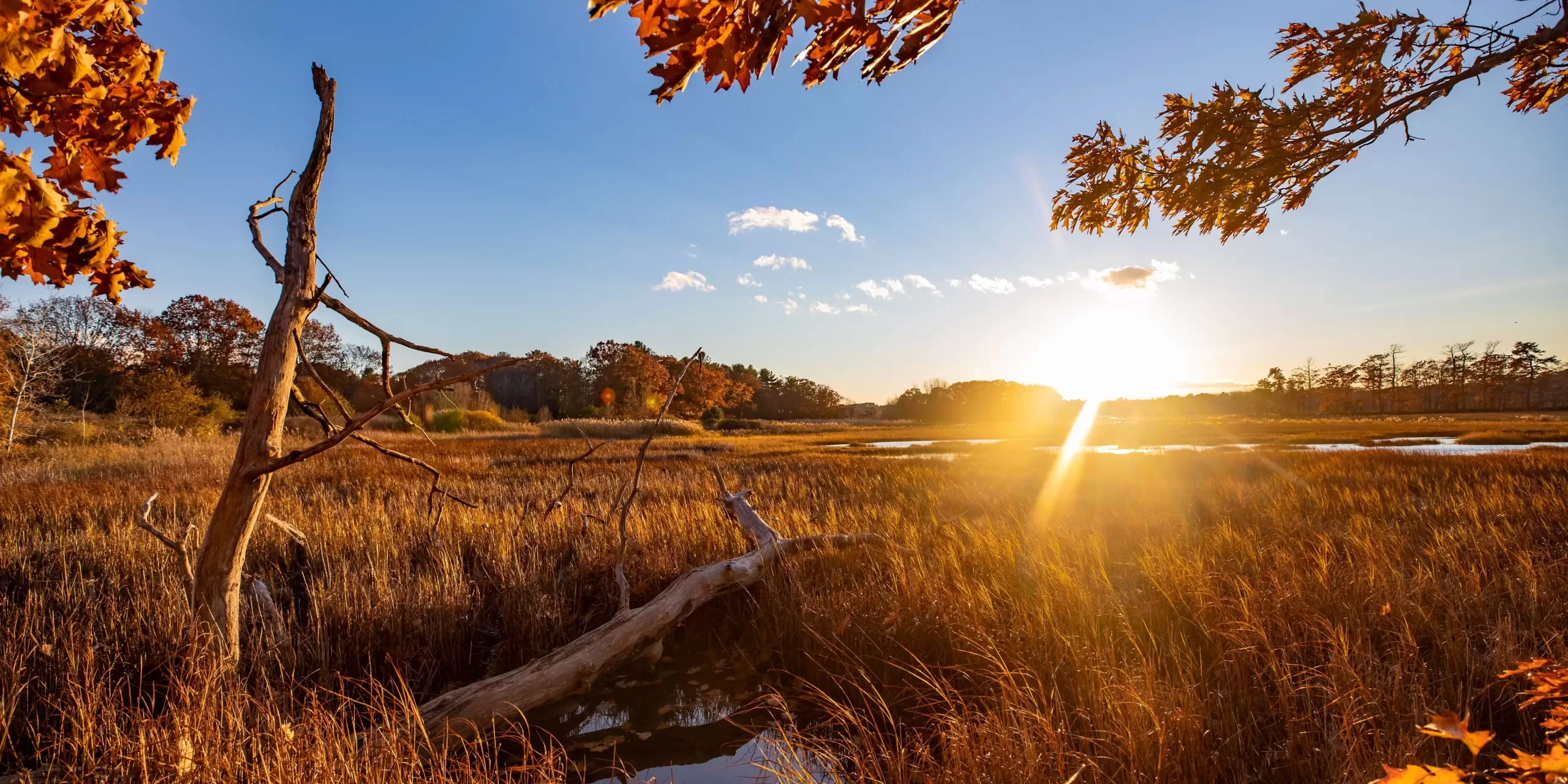 christopher andrews grand prize landscapes